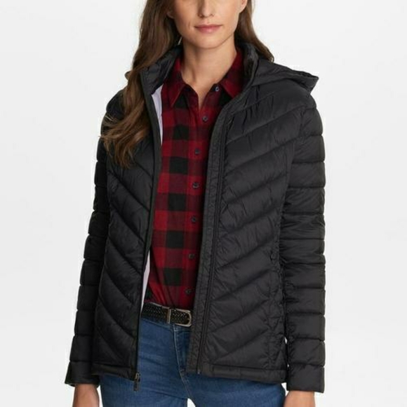 Bass Jackets & Blazers - GH Bass Hooded Short Puffer Jacket - BLACK